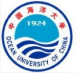 Marine Ship Foam Filled Fender