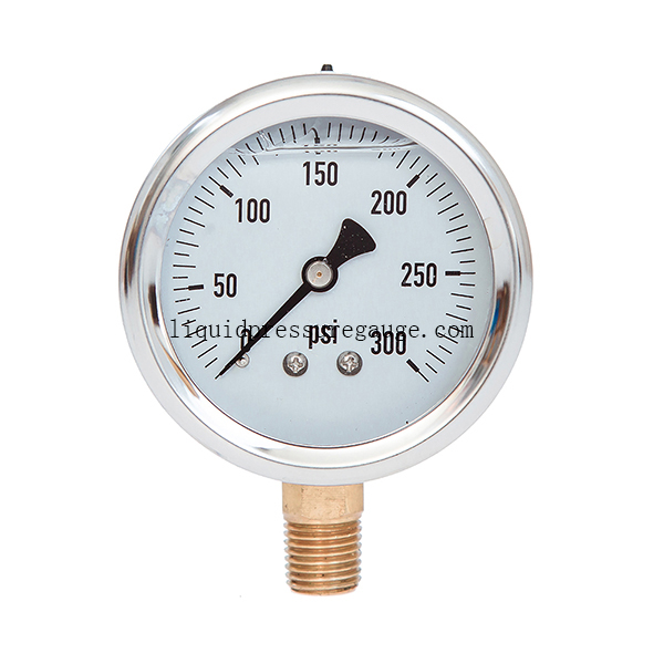 Oil Filled Vacuum 300 Psi Liquid Filled Pressure Gauges 63MM 2.5'' 1/4'' BSP
