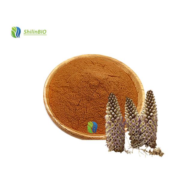 Food Grade Cistanche Deserticola Extract Powder 10% 20% 40% Echinacoside
