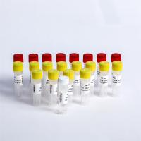 Amorces universelles d'ACP d'adaptateur Oligos multiplex 1 pour Illumina K002-A