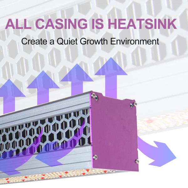 Efficient Commercial Greenhouse LED Grow Lights 60Hz Ip65 For Plants
