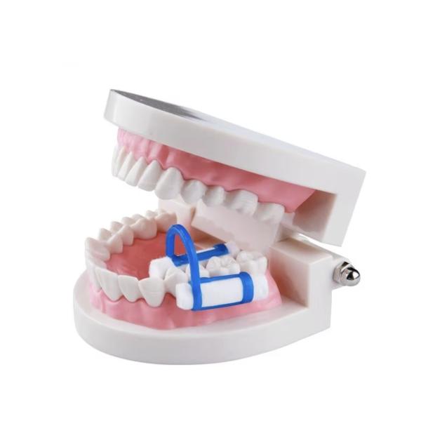 Dental Cotton Roll Clamp Medical Consumable Ozone Disinfecting Type