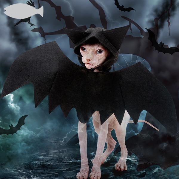 летучая мышь любимца 100g хеллоуина подгоняет черный крутой костюм любимца маскировки шляпы летучей мыши кота собаки