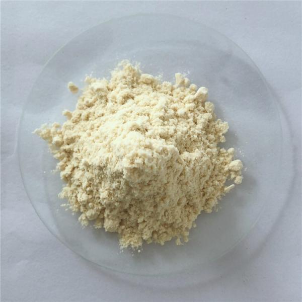 Anti Cancer Herbs Black Carrot Extract Powder