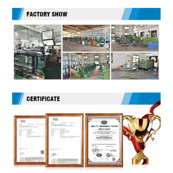 Precision Automatic Hydraulic Fastener Insertion Riveting Machine With Feeding System