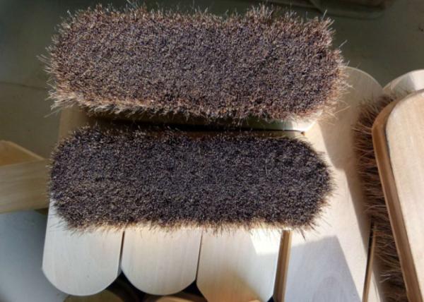 Les cheveux de cheval balayent/vrais brosses de chaussure de crin avec la longue poignée en bois pour le nettoyage