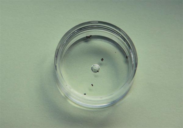 CNC Micro Precision Machining Medical Parts High Accuracy For Medical Equipments