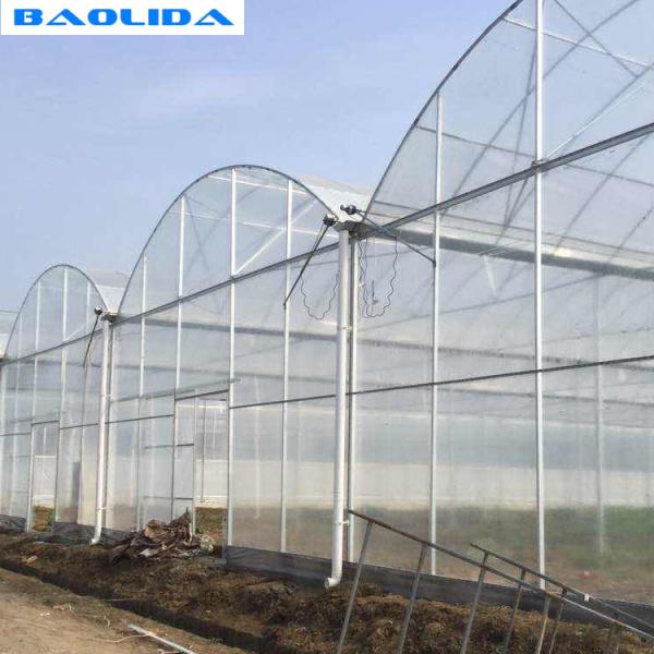 Clear Plastic Grow Tunnel / Agriculture Farm Plastic Tunnel Greenhouse