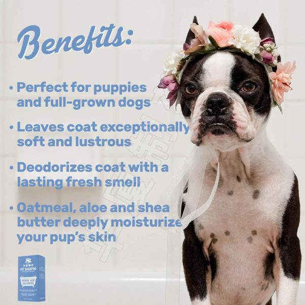 Oatmeal Aloe Pet Care Shampoo Shea Butter for Smelly Dogs Dry Itchy Skin