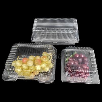 Emballages en plastique à charnière de fruits à coquille en PET thermoformé personnalisable