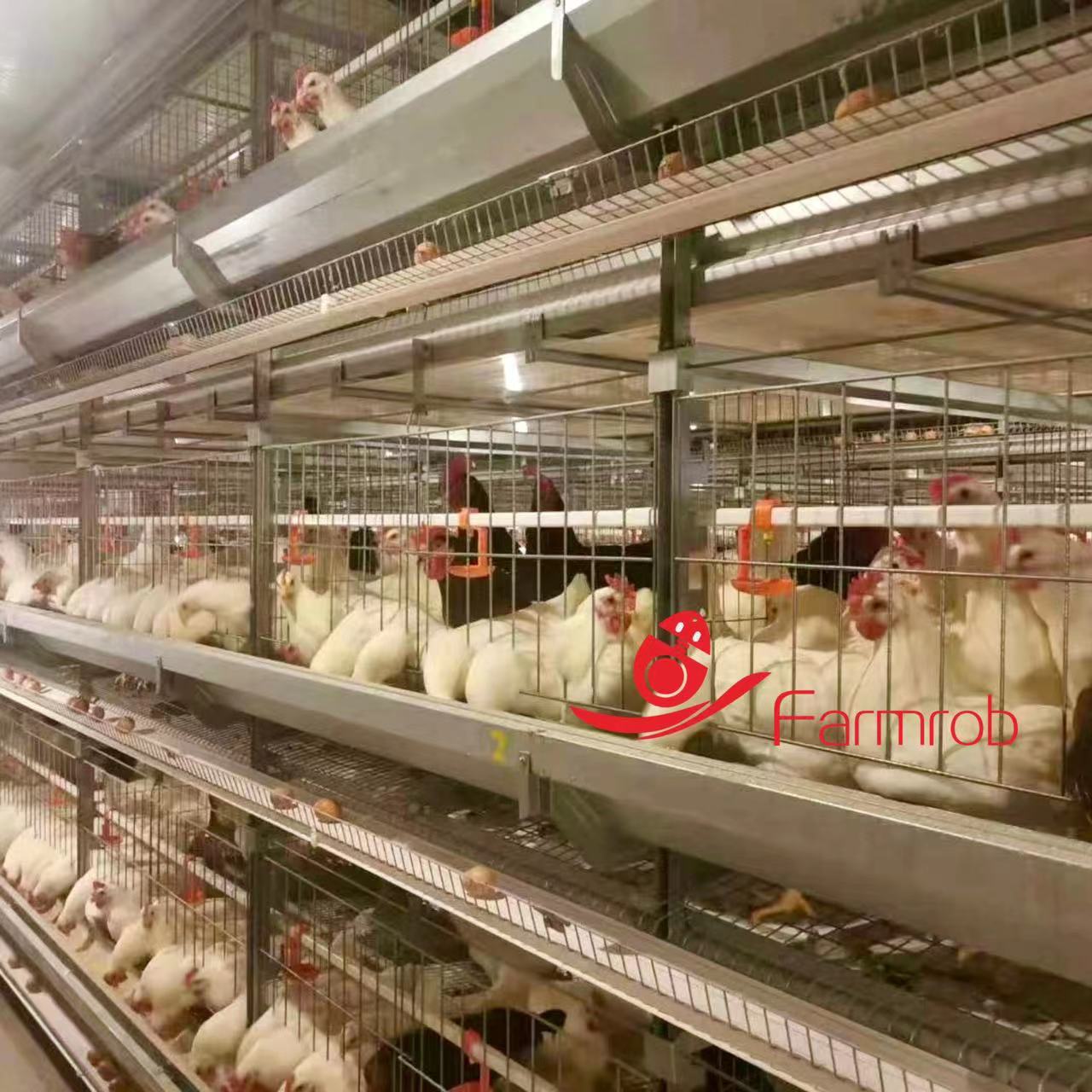 Mg-Al-Zn Alloy Poultry Battery Cage System 3 Tier Большое расстояние между разведчиками