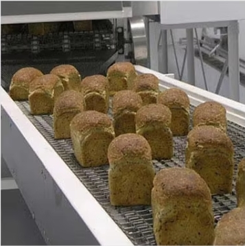 AISI 304 AISI 316 Drying Mesh Belt Stainless Steel Wire Conveyor Belt For Food Dehydration Oven