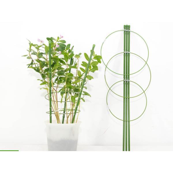 11mm Dia 5ft 150cm Peony Flower Supports Plant Stakes Rings