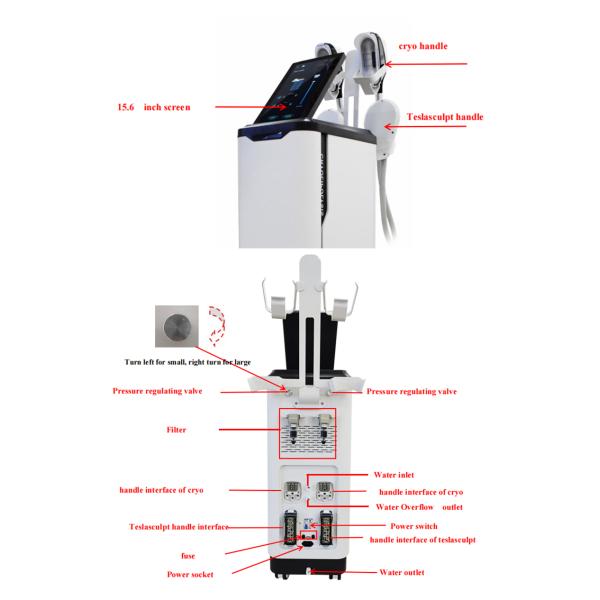 Тело техника Cryotherapy уменьшая машину для уменьшения жировой клетки липосакции