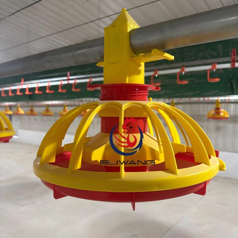Adjustable Anti Waste Automatic Pan Feeding System for Efficient Broiler Feeding