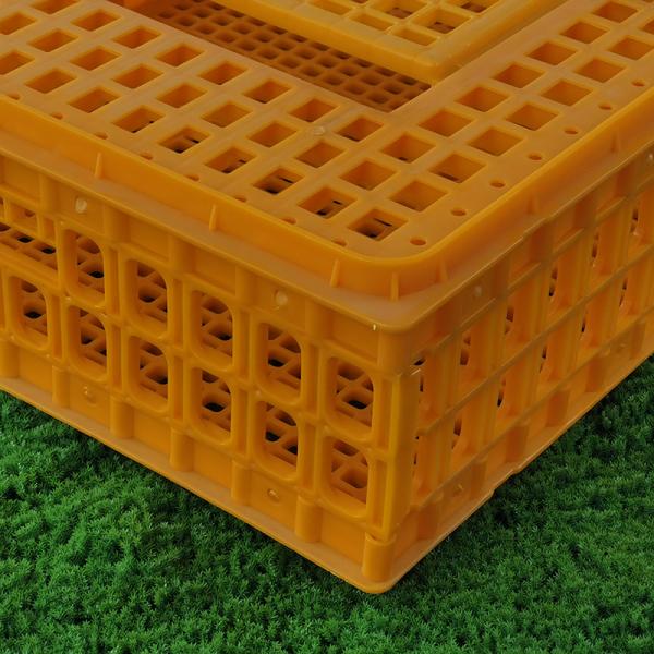 Sturdy Poultry Transport Cage Secure Locking System Easy To Clean Chicken Farm Carrier Box