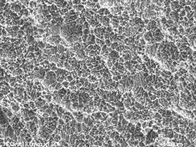 WARANTEC® ONEPLANT TAPERED Внутренний 3.6 / 5.3 Титановый Премиллионный Пустой 10 мм