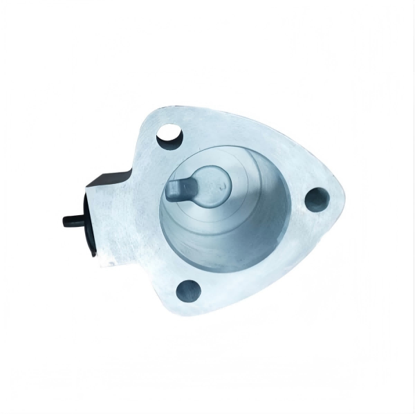 81.35250.0002 Differential lock cylinder For SHACMAN Engine Parts