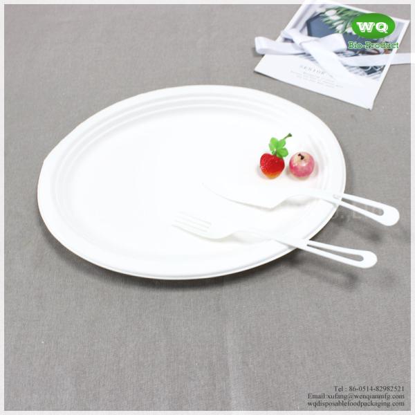 Biodegradable 10/12 Inch Oval Platters Made From Natural Sugarcane Pulp- Bamboo Dinner Plate Melamine Dinner Plate