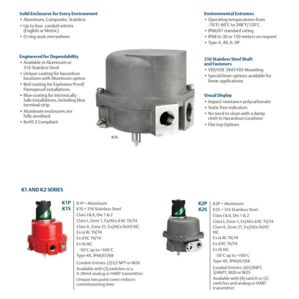 TopWorx Type K1P-M21RNMS Magnetic Target Switch With Rugged Housing