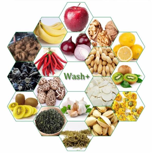 Multifunctional Ginger Washing Double Bubble Water Spinach Industrial Fruit Washing Ozone System