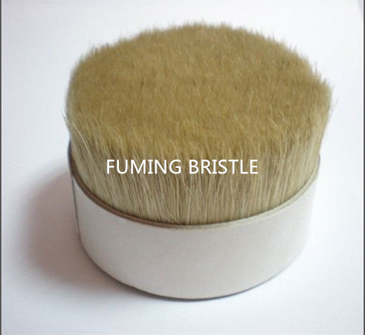 70% tops 51mm double boiled bristles for brushes