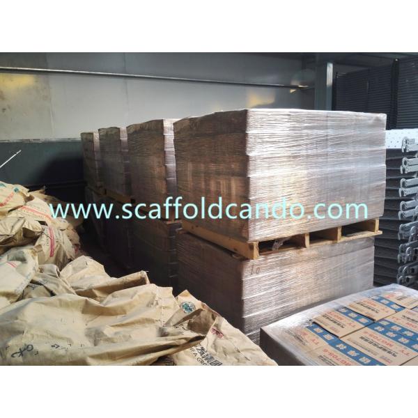 38*225mm scaffolding frame system steel joint pin Bone joint 36*225mm for connecting two main frames ladder frames