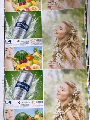 CE Approved Fengming Paper Flexo Printing Machine Unit Type Structure for