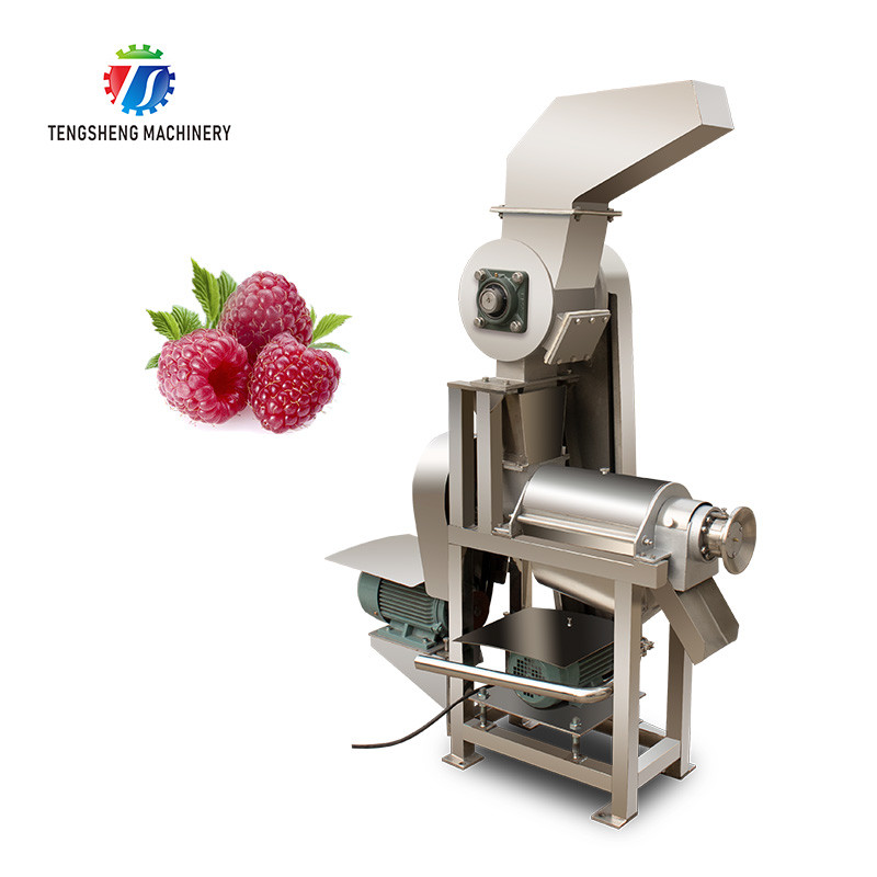Juicer винта коммерчески винта Juicer фрукта и овоща одиночный
