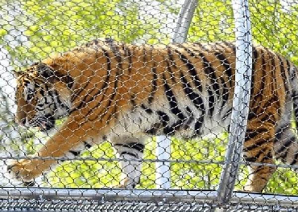 Tela de vedação de aço inoxidável durável para segurança animal