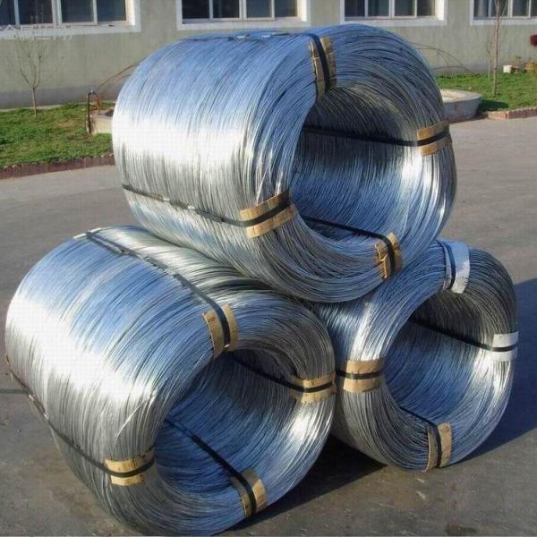 Fio de aço laminado a alta temperatura Rod Coil do ISO 5.5mm 6.5mm para a decoração