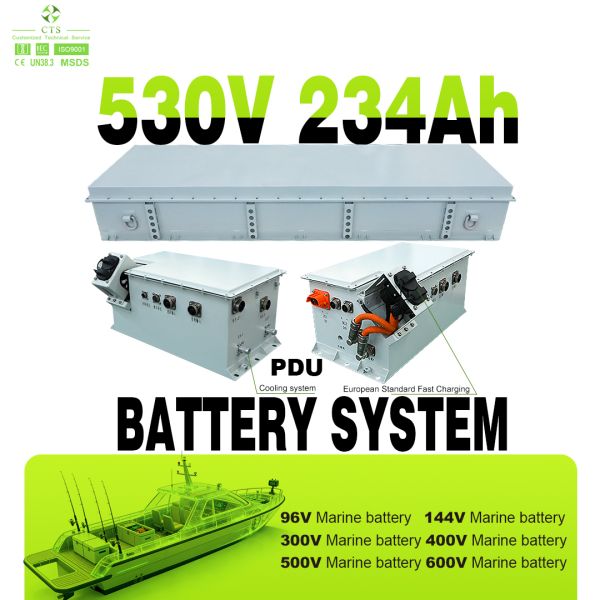 CTS 530V 234Ah Electric Boat Lithium Battery System for Yacht & Sightseeing Vessels OEM/ODM