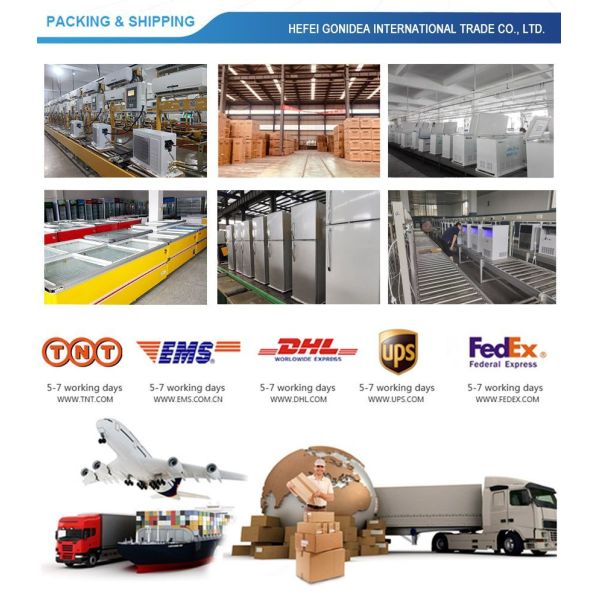                    No Frost Big Capacity Freezer Built in Refrigerator Bcd-615W              