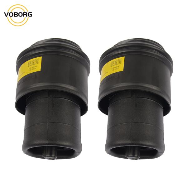 Oem Air Suspension Shock Absorber for 5012G P5012R 9676469480 9676469280 Fast Shipping