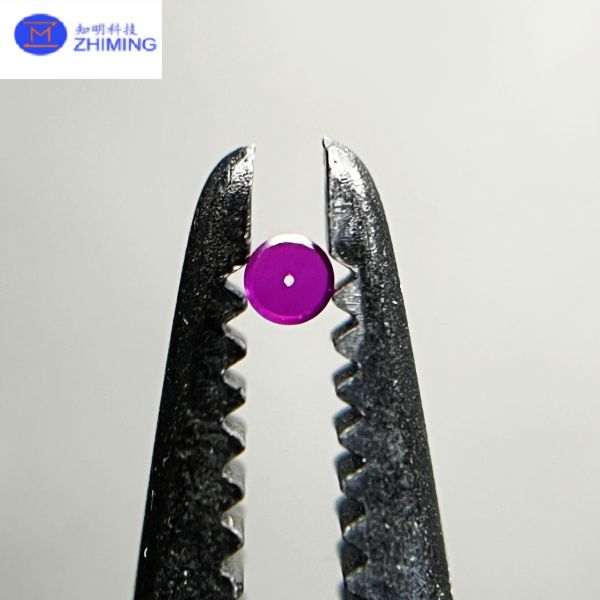 Ruby Through-Hole Bearing – Precision Jewel Bearing for High-Accuracy Instruments