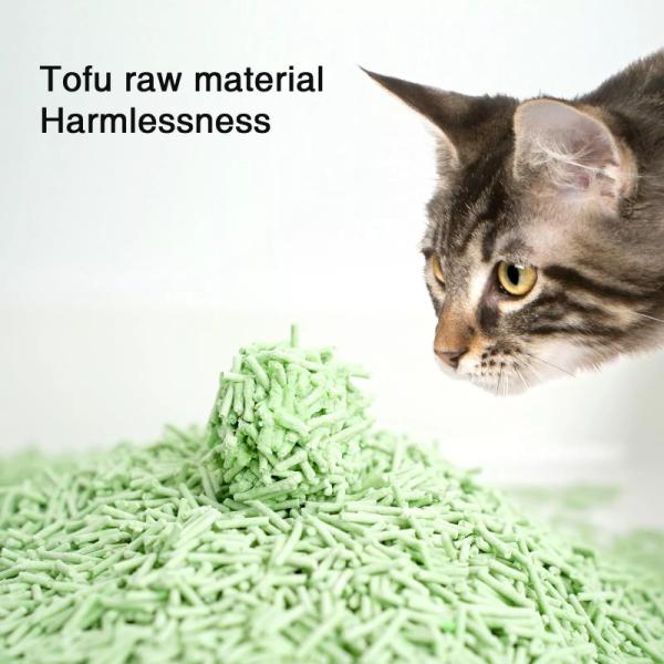 Coupe facile Litter de chat Thé vert à haute absorption sans danger pour les animaux de compagnie Litter de chat au tofu