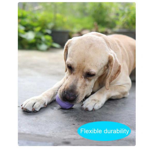 Домашний снеговик Игрушка на заказ Устойчивая к укусам Молярная натуральная резина Укусы Интерактивные игрушки для домашних животных