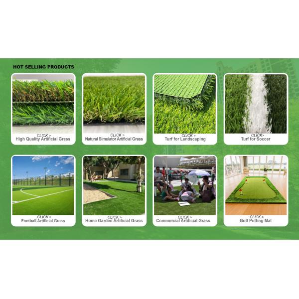 Outdoor 40mm 50mm Gym Fake Grass PE Synthetic Turf Grass