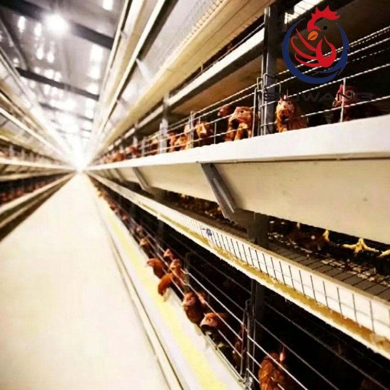 Intelligent 3 4 5 6 Tiers H Type Layer Cage System For Efficient Chicken Raising