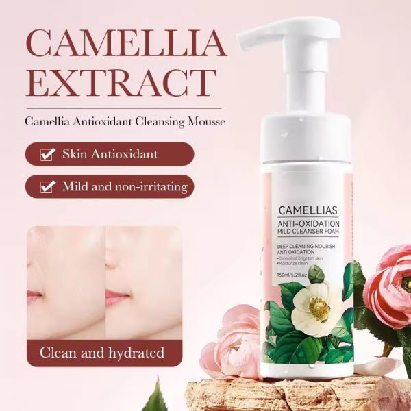 Aminoácido GMPC limpador facial Mousse espuma poros suavemente personalizados Camellia Face Wash