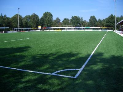 O futebol artificial de vista natural impermeável da grama lança o tapete falsificado da grama