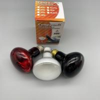 Lámpara de luz de 75W UVA R63 R80 para reptiles y anfibios Dragón barbudo Lagarto tortuga araña serpiente camaleón reptil lámpara de calor