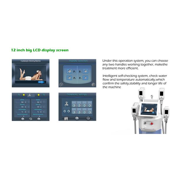 4 big handles Great weight loss-15 ~5Celsuis degree machine cryolipolysis