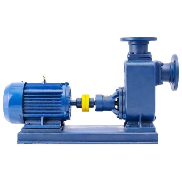 Self Priming Submersible Pump Horizontal Submersible Water Pump For Agriculture
