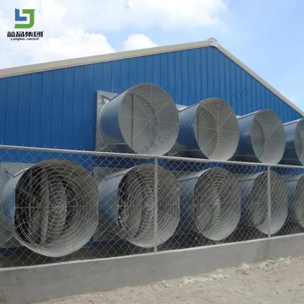 Prefabricated Steel Poultry Barns Farm Shed Design Industrial Chicken House One-stop Service