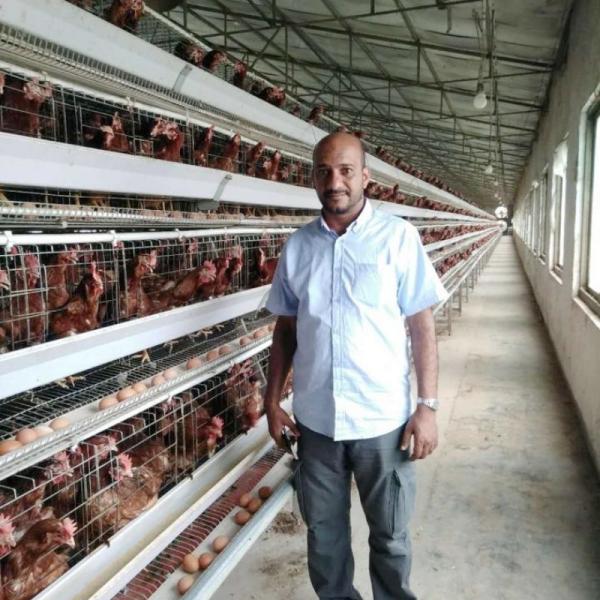 A Type Egg Laying Hen Layer Chicken Cage For Poultry Farm 3 Tiers 195*38*38 Cm