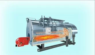 Customize Oil Gas Fired Steam Boiler Carbon Steel Stainless Steel