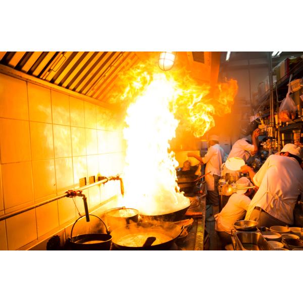 Class K Portable Aerosol Fire Extinguisher Restaurant Kitchen Fire Killing