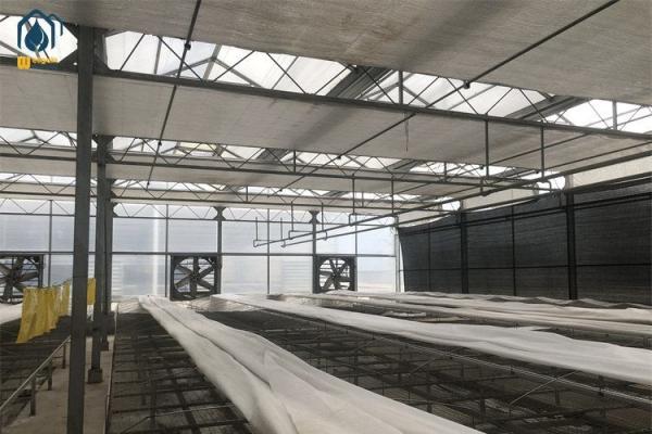 Durable Steel Frame Polycarbonate Greenhouse For Winter Vegetable Production