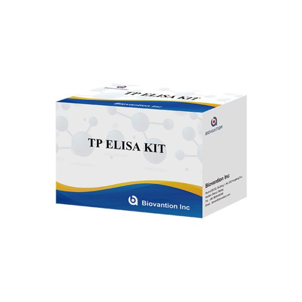 120 Minutes ISO13485 Syphilis Elisa Test Kit TP Elisa 96 Tests Kit